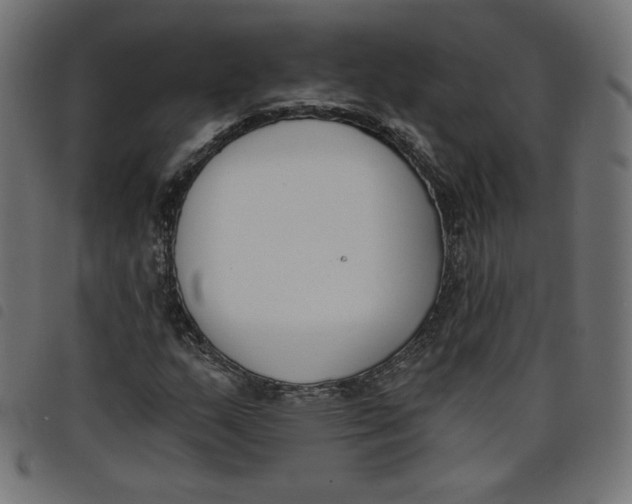 X0000098111159200804251421