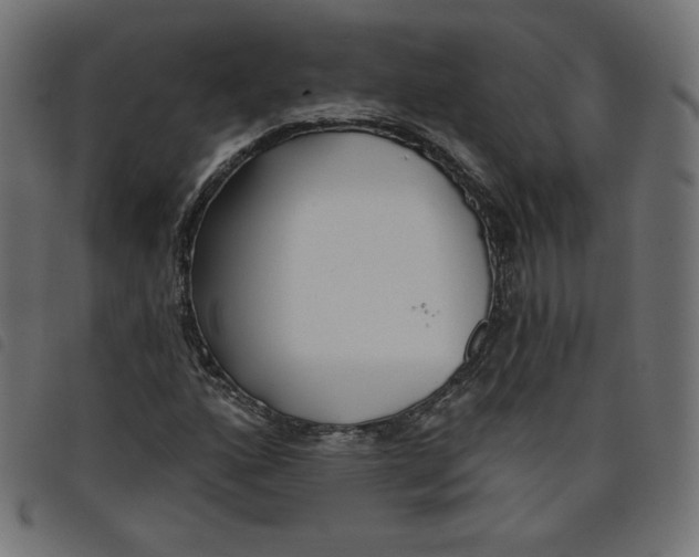 X0000098111160200804251421