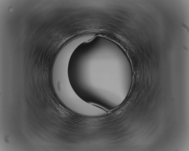 X0000098111161200804251421