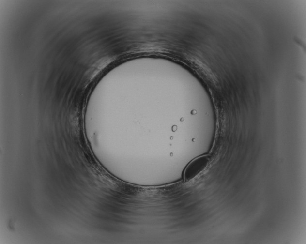 X0000098111162200804251421