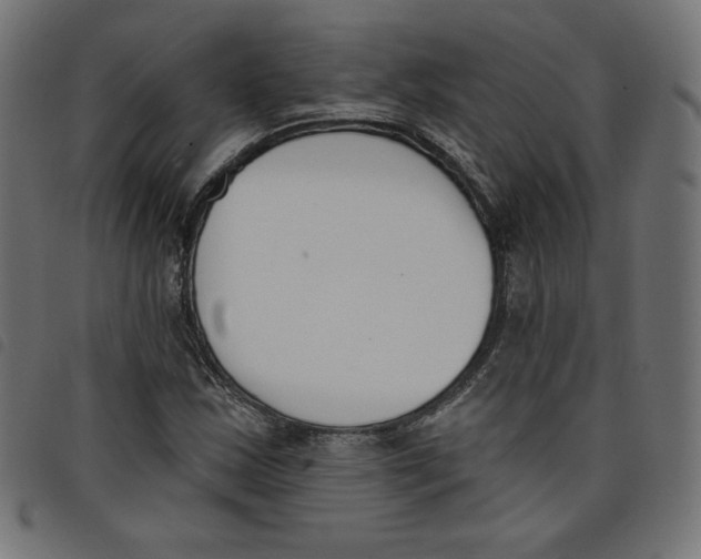 X0000098111163200804251421