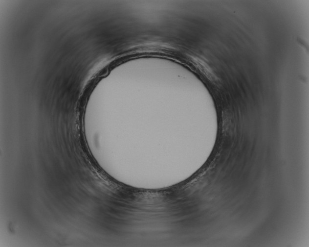 X0000098111164200804251421