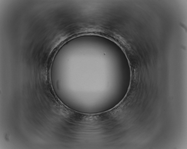 X0000098111165200804251421