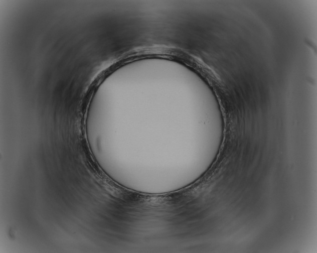 X0000098111166200804251421