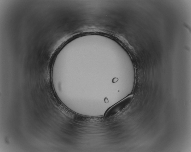 X0000098111167200804251421