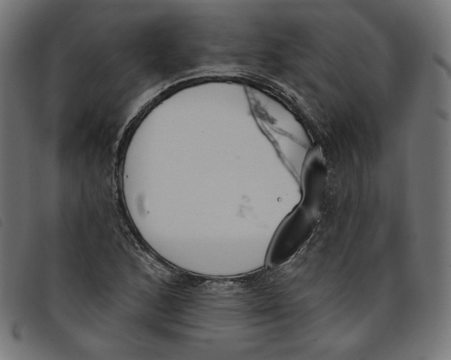 X0000098111168200804251421