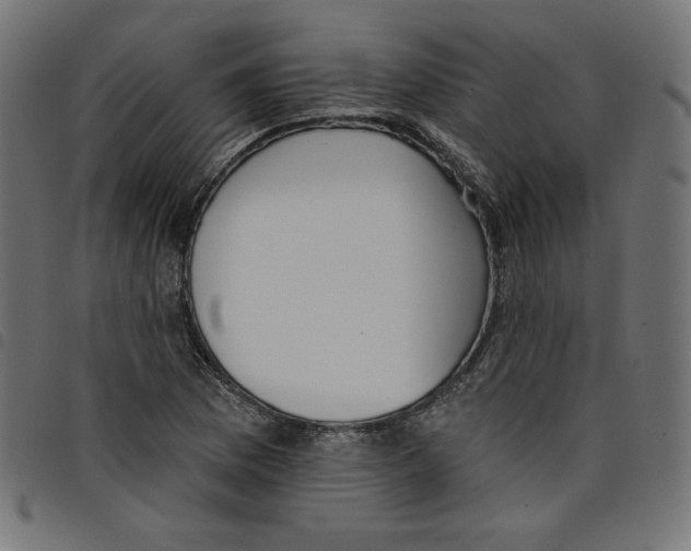 X0000098111169200804251421