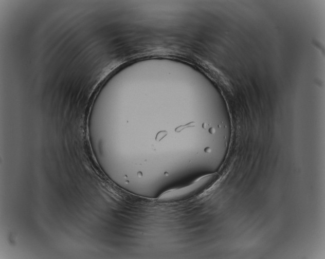 X0000098111170200804251421