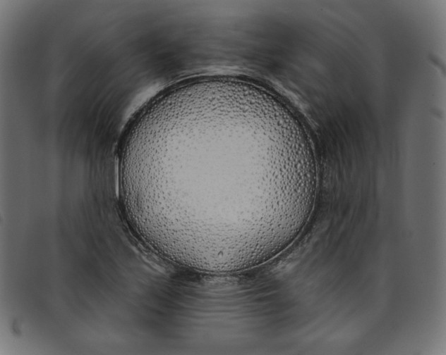 X0000098111171200804251421