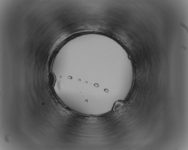 X0000098111172200804251421