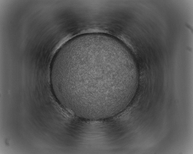 X0000098111173200804251421