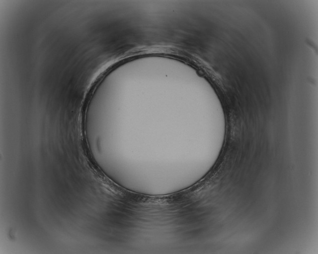 X0000098111174200804251421