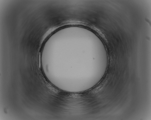 X0000098111175200804251421