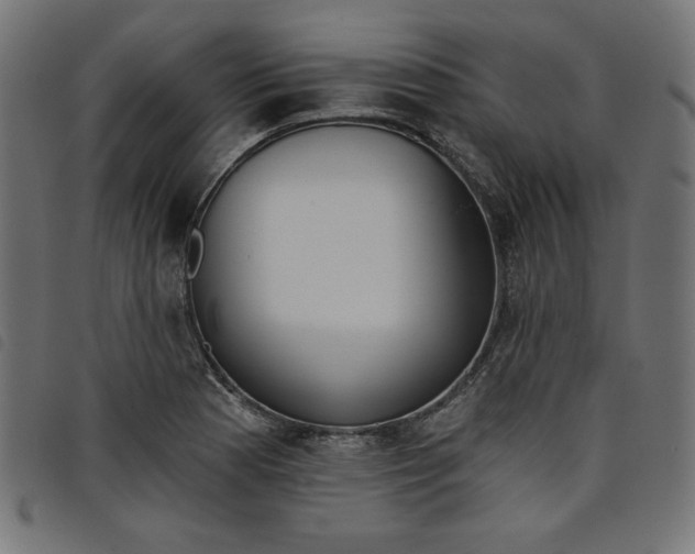 X0000098111177200804251421