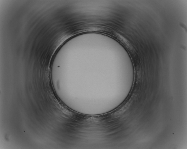 X0000098111178200804251421