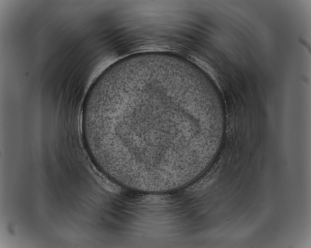 X0000098111179200804251421