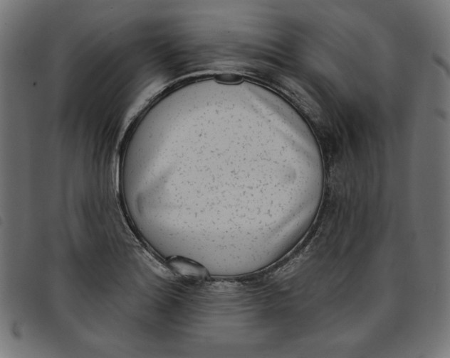 X0000098111180200804251421