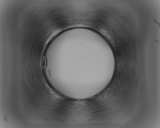 X0000098111181200804251421