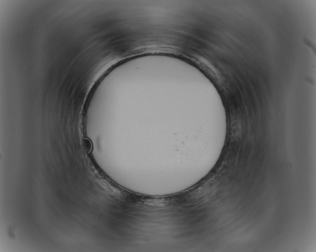 X0000098111182200804251421