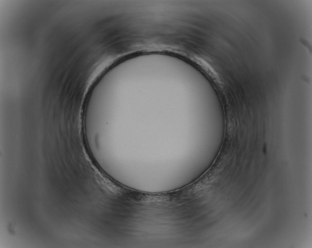 X0000098111183200804251421