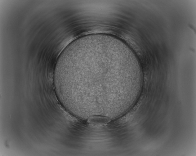 X0000098111185200804251421