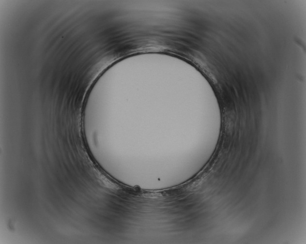 X0000098111186200804251421