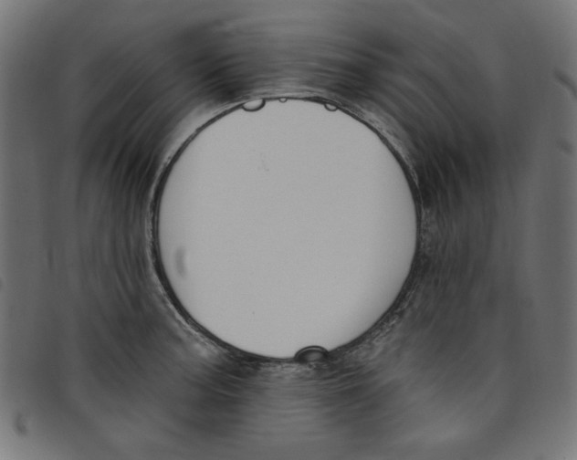 X0000098111187200804251421