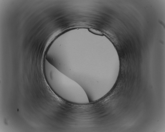 X0000098111188200804251421