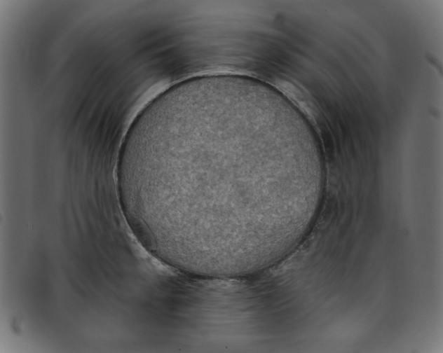 X0000098111189200804251421