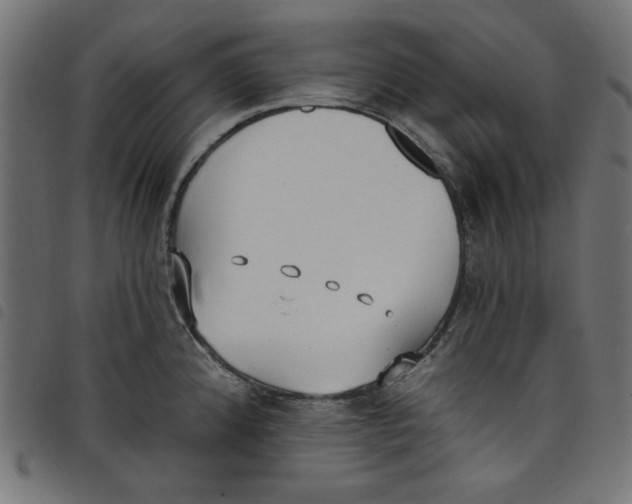 X0000098111192200804251421