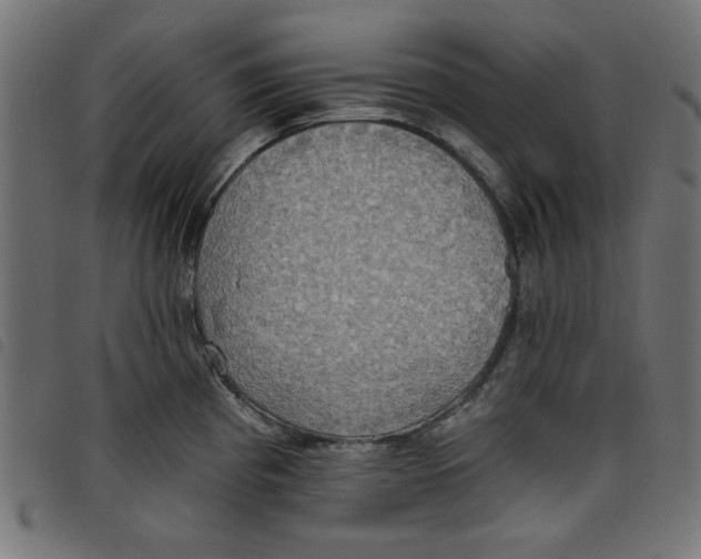 X0000098111193200804251421