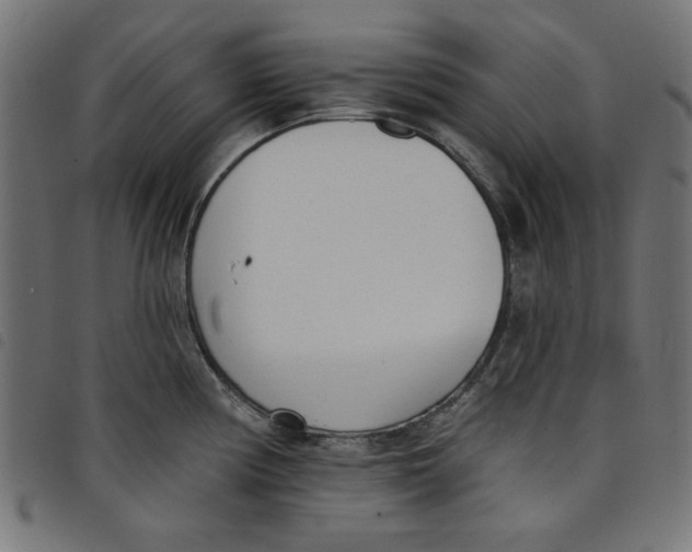 X0000098111194200804251421