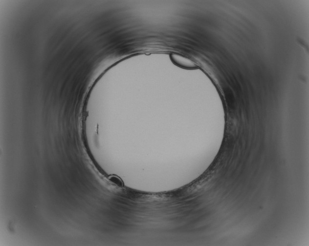 X0000098111195200804251421