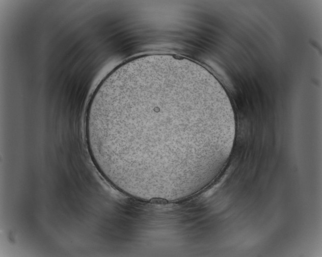 X0000098111196200804251420