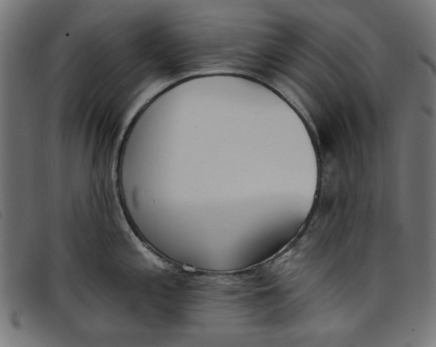 X0000098111197200804251420