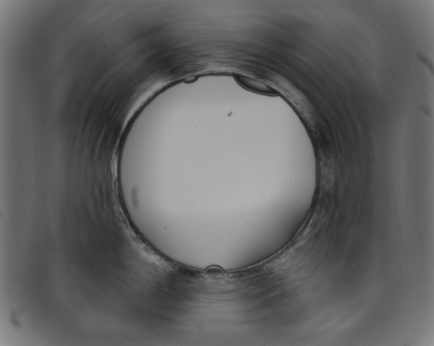 X0000098111198200804251420