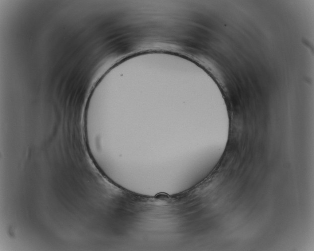 X0000098111199200804251420