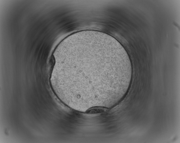 X0000098111200200804251420