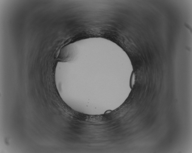 X0000098111201200804251420