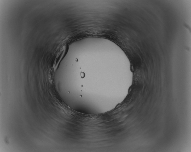 X0000098111202200804251420