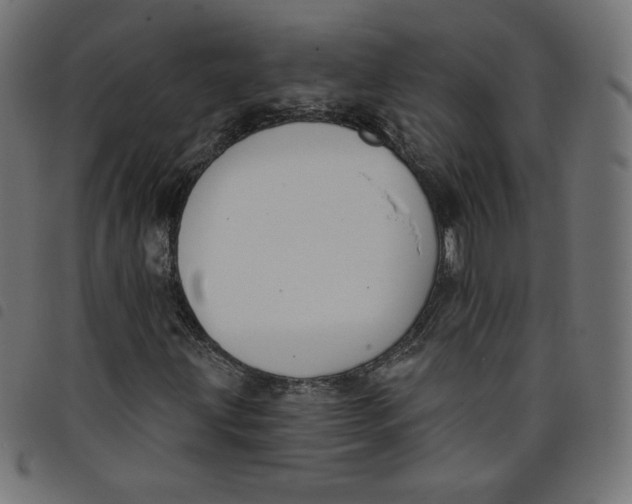 X0000098111203200804251420