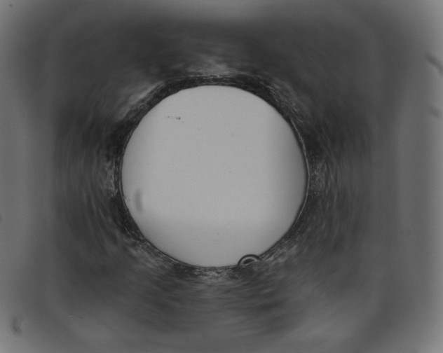 X0000098111205200804251420