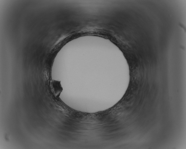 X0000098111206200804251420