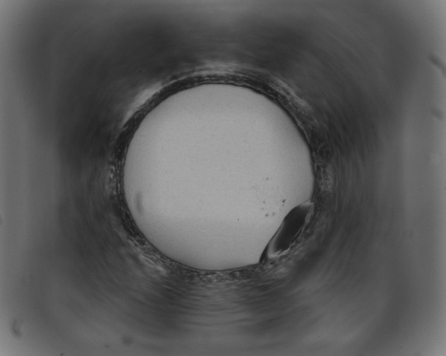 X0000098111208200804251420