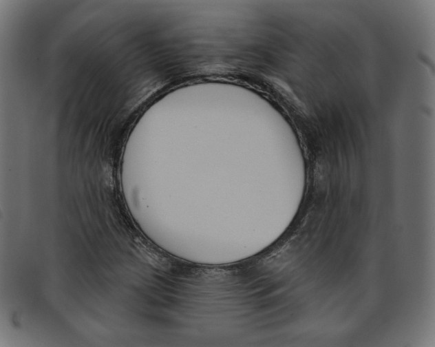 X0000098111209200804251420