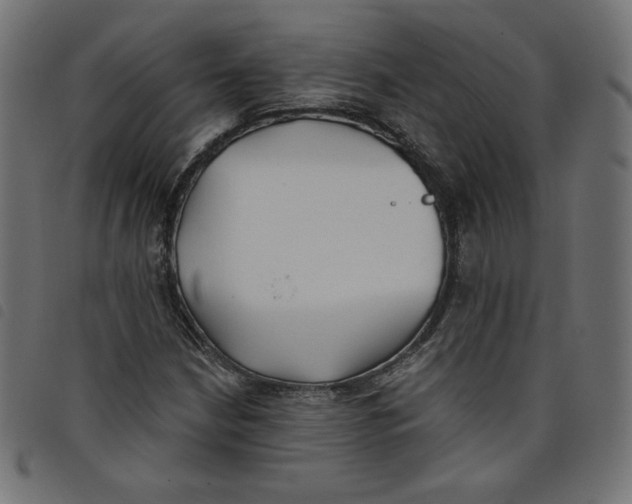 X0000098111210200804251420