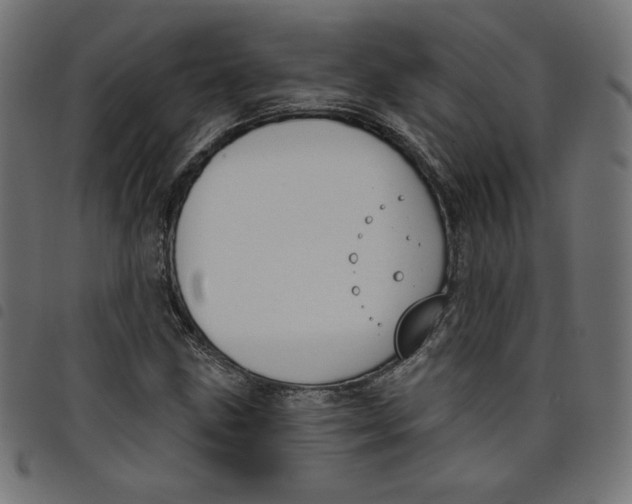 X0000098111211200804251420