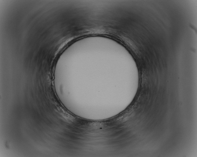 X0000098111212200804251420