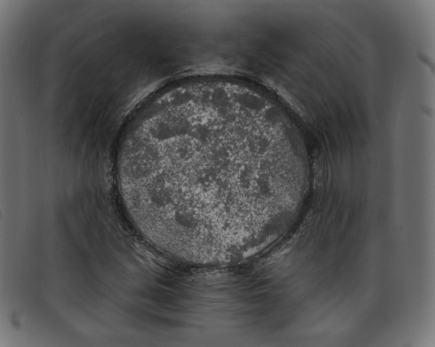 X0000098111213200804251420