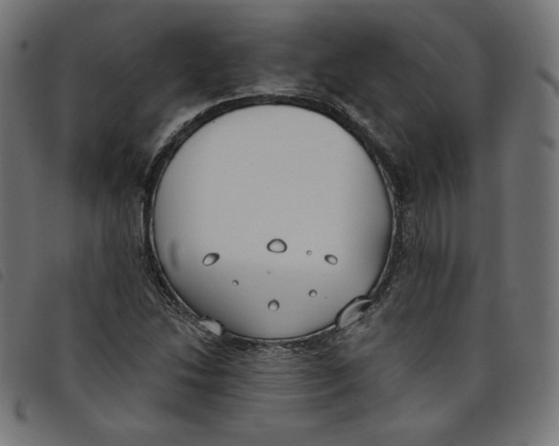 X0000098111214200804251420